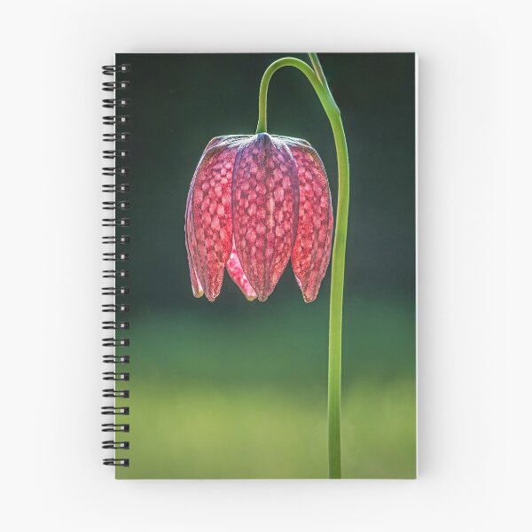 Item preview, Red Snakeshead Fritillary Flower designed and sold by Tony North.