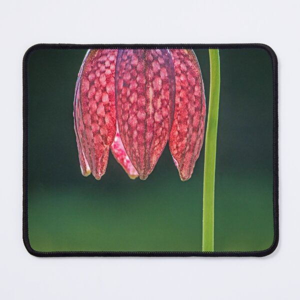 Item preview, Red Snakeshead Fritillary Flower designed and sold by Tony North.