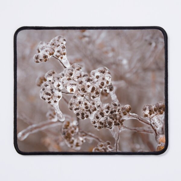 Item preview, Of Weeds, Seed Pods and Crystals designed and sold by Georgia Mizuleva.