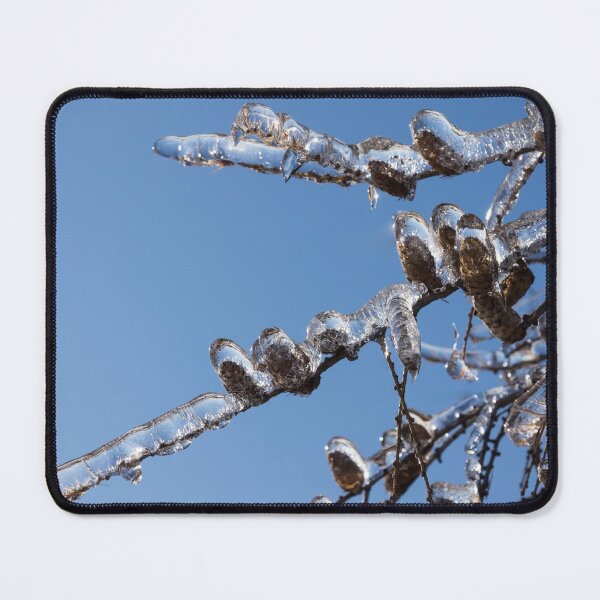 Item preview, Mother Nature’s Christmas Decorations – Glistening Twigs and Pine Cones designed and sold by Georgia Mizuleva.