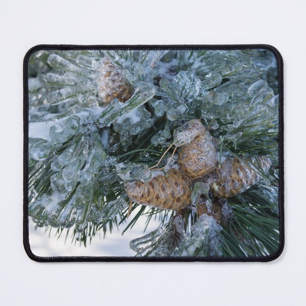 Item preview, Mother Nature Christmas Decorations - Pine Cones Patterned Crystals designed and sold by Georgia Mizuleva.