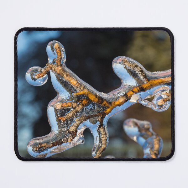 Item preview, Mother Natures Christmas Decorations - Encapsulated Branch designed and sold by Georgia Mizuleva.
