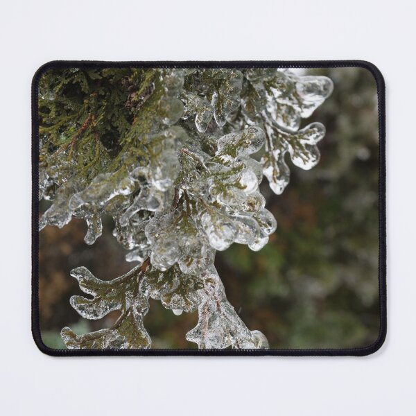Item preview, Mother Natures Christmas Decorations - Cypress Branches designed and sold by Georgia Mizuleva.
