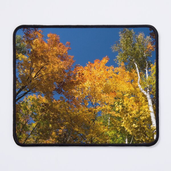 Item preview, Glorious Fall Colors - Just Lift Your Head designed and sold by Georgia Mizuleva.