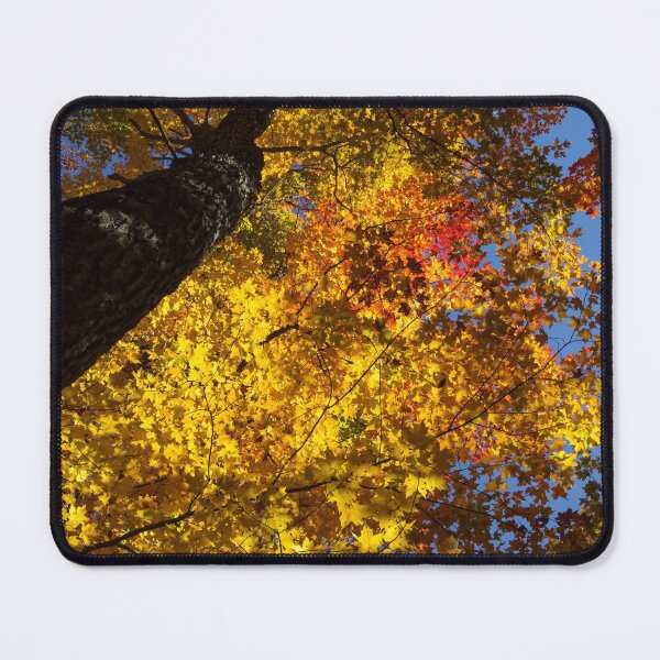 Item preview, Hot Yellow Gold - Northern Autumn Splendor designed and sold by Georgia Mizuleva.