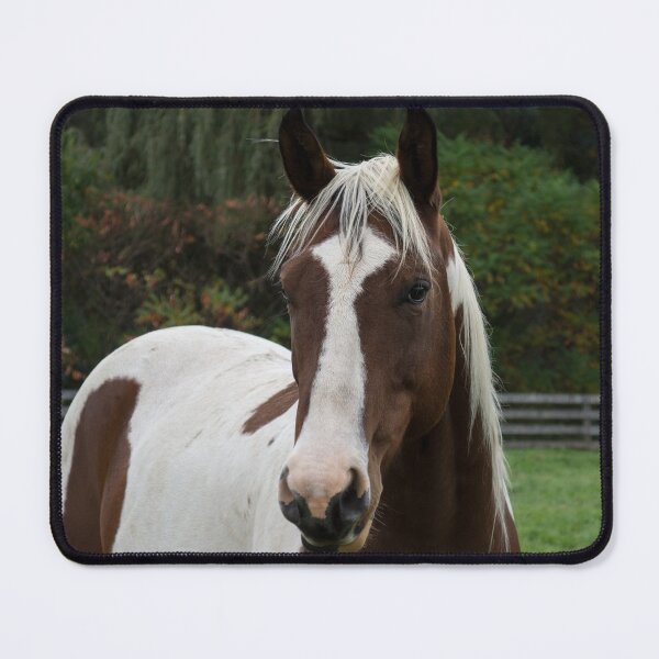 Item preview, Horse Portrait designed and sold by Georgia Mizuleva.