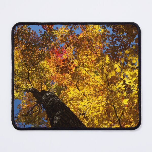 Item preview, Hot Autumn Palette designed and sold by Georgia Mizuleva.