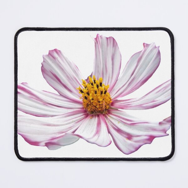 Item preview, Purple Cosmos Flower designed and sold by Asaha17.