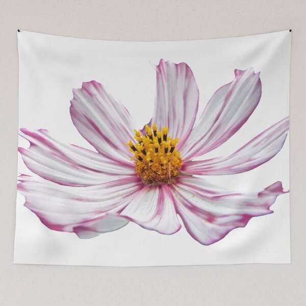 Item preview, Purple Cosmos Flower designed and sold by Asaha17.