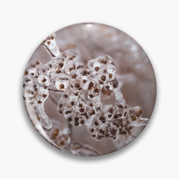 Item preview, Of Weeds, Seed Pods and Crystals  designed and sold by Georgia Mizuleva.