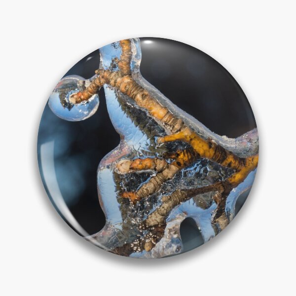 Item preview, Mother Natures Christmas Decorations - Encapsulated Branch designed and sold by Georgia Mizuleva.