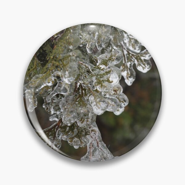Item preview, Mother Natures Christmas Decorations - Cypress Branches designed and sold by Georgia Mizuleva.
