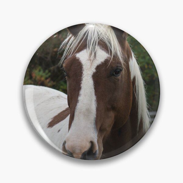 Item preview, Horse Portrait designed and sold by Georgia Mizuleva.