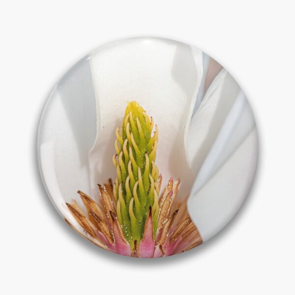 Item preview, Close-up of a Magnolia Flower designed and sold by Tony North.
