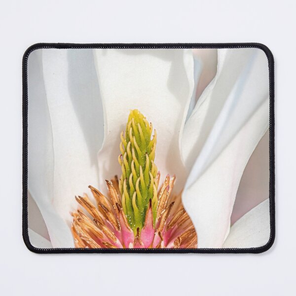 Item preview, Close-up of a Magnolia Flower designed and sold by Tony North.