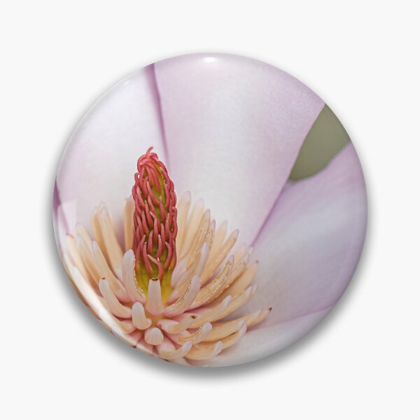 Item preview, Close-up of a Magnolia Flower designed and sold by Tony North.