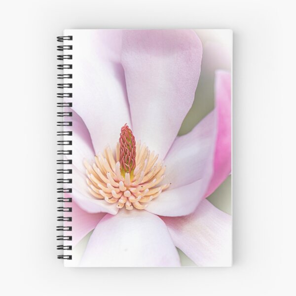 Item preview, Close-up of a Magnolia Flower designed and sold by Tony North.
