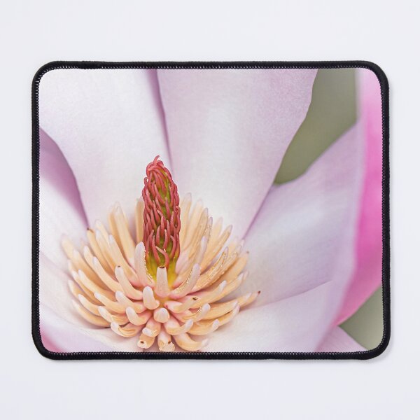 Item preview, Close-up of a Magnolia Flower designed and sold by Tony North.