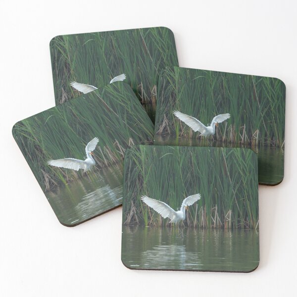 Item preview, Egret with landing gear down designed and sold by PaulKPhoto.