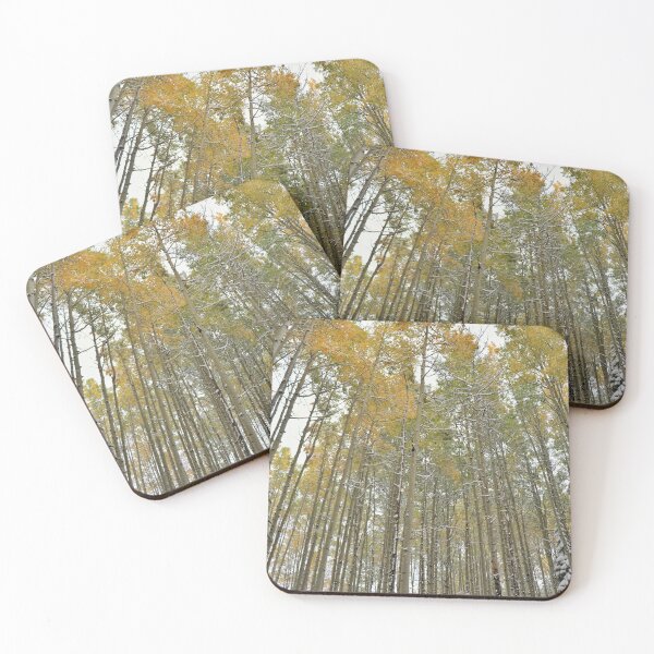 Item preview, Aspens #4 designed and sold by Rachel Jeffrey.
