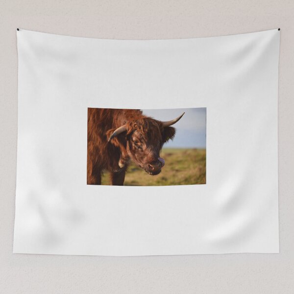 Item preview, Highland Cow designed and sold by Rob Parsons (Just a Walker with a Camera).