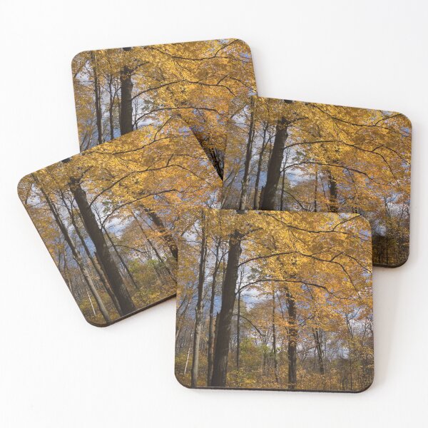 Item preview, Golden Leaves and Dark Branches - Autumn in the Forest designed and sold by Georgia Mizuleva.