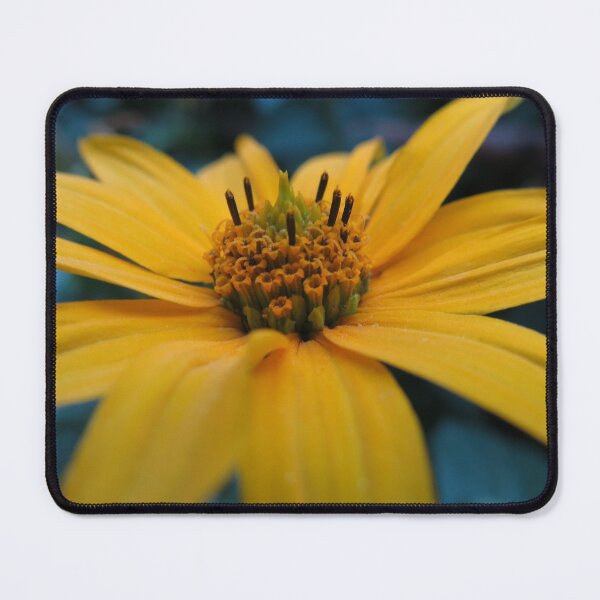 Item preview, Orange Sunny Flower designed and sold by Asaha17.