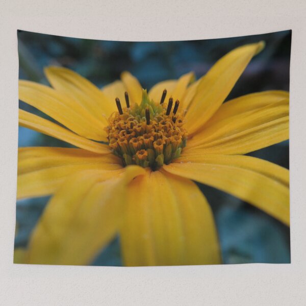 Item preview, Orange Sunny Flower designed and sold by Asaha17.