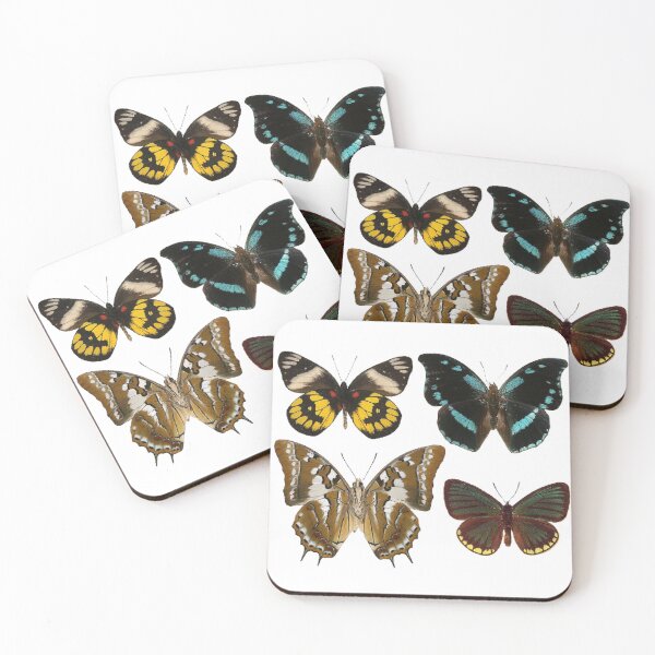 Artikelvorschau, Vintage Schmetterling Kunstdruck entworfen und verkauft von Eva Vincent.