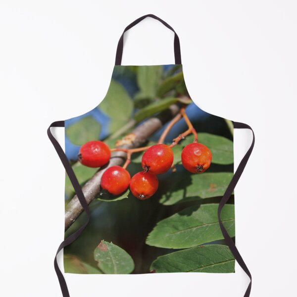 Item preview, Ripe red Rowan berries bunch designed and sold by Asaha17.