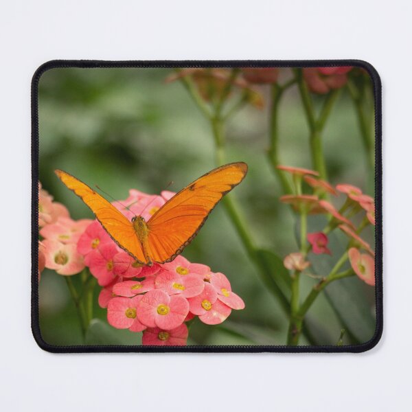 Item preview, Julia Butterfly designed and sold by bjfrenchphoto.