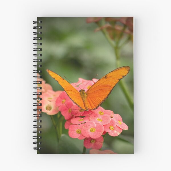 Item preview, Julia Butterfly designed and sold by bjfrenchphoto.