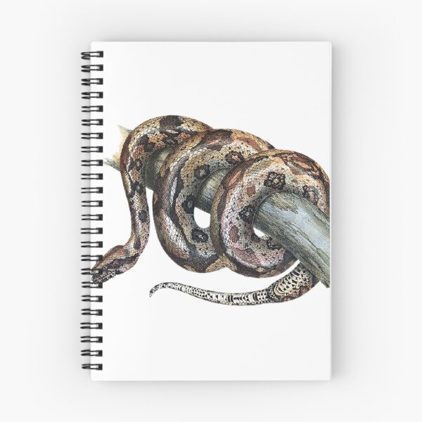 Item preview, Vintage Snake Art Print  designed and sold by Eva Vincent.