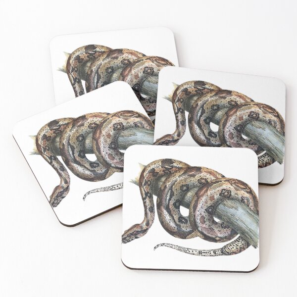 Item preview, Vintage Snake Art Print  designed and sold by Eva Vincent.