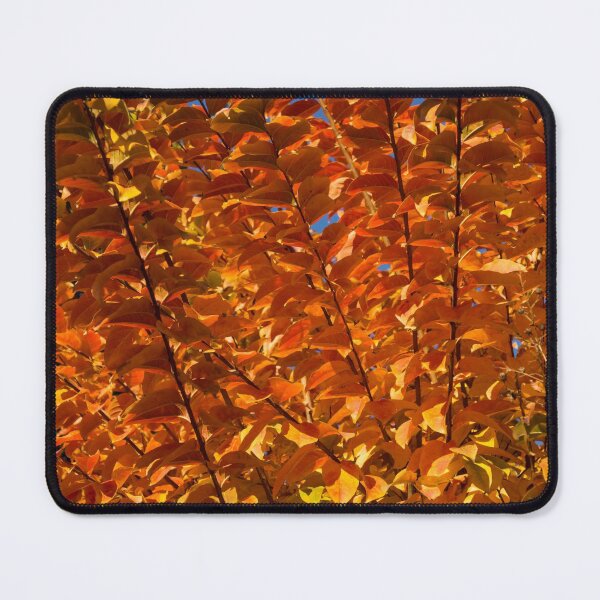 Item preview, Orange Autumn Lines and Diagonals - the Burning Bush designed and sold by Georgia Mizuleva.