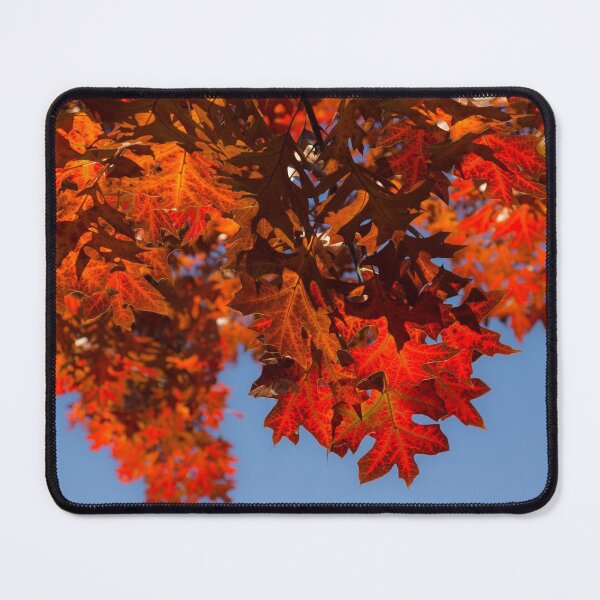 Item preview, Happy Scarlet Autumn Patchwork designed and sold by Georgia Mizuleva.