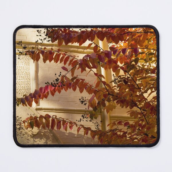 Item preview, Dainty Branches - Warm Fall Colors - Washington, DC Facades designed and sold by Georgia Mizuleva.