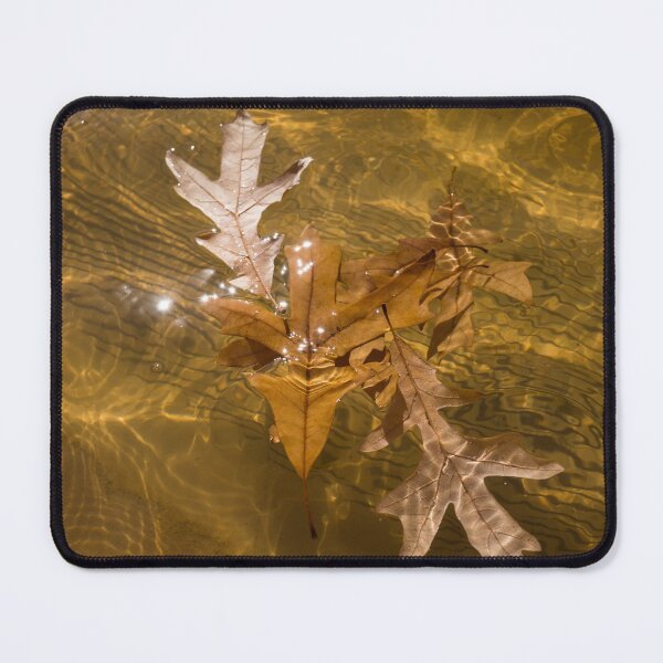 Item preview, Honey Colored Sun Flares - Oak Leaves Floating in a Fountain designed and sold by Georgia Mizuleva.