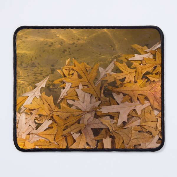 Item preview, Floating Chaos - Fallen Oak Leaves in the Fountain designed and sold by Georgia Mizuleva.