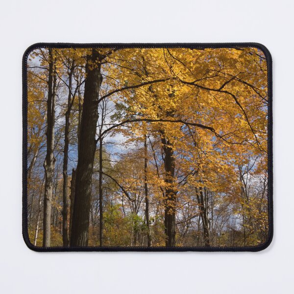 Item preview, Golden Leaves and Dark Branches - Autumn in the Forest designed and sold by Georgia Mizuleva.