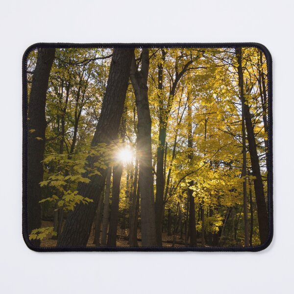 Item preview, Sun Spotting Autumn - a Peaceful Forest in the Fall designed and sold by Georgia Mizuleva.