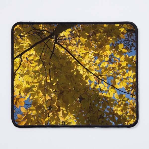 Item preview, Geometric Autumn Shadows - a Vertical View designed and sold by Georgia Mizuleva.