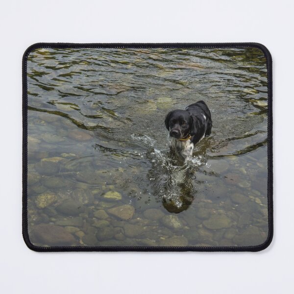 Item preview, Crystal Clear Water Play - the Splashing Puppy designed and sold by Georgia Mizuleva.