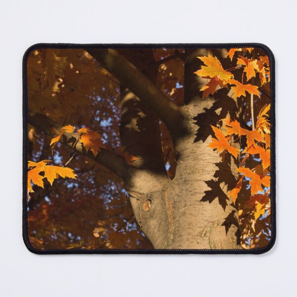 Item preview, Crisp, Orange Autumn Shadows designed and sold by Georgia Mizuleva.