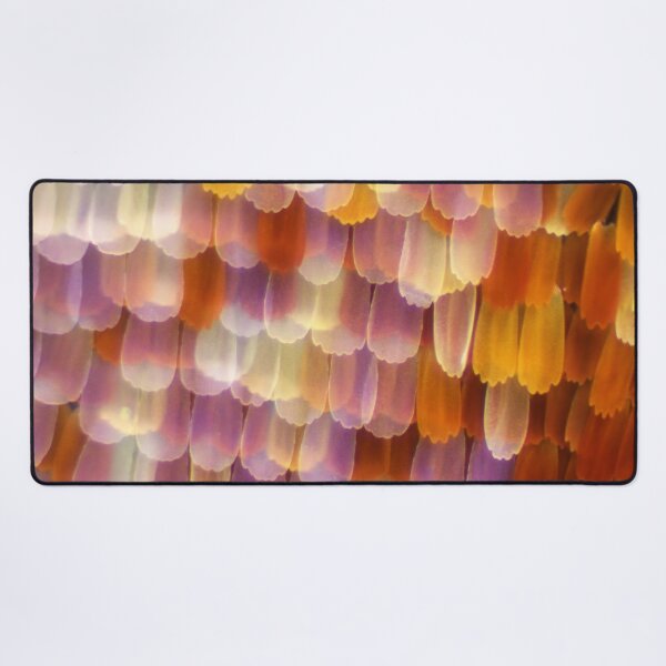 Item preview, Inachis Butterfly under a microscope. designed and sold by Maddie4Real.