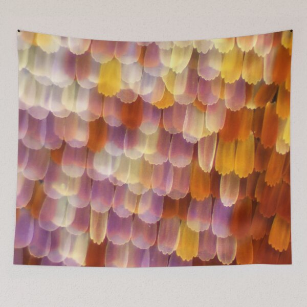 Item preview, Inachis Butterfly under a microscope. designed and sold by Maddie4Real.