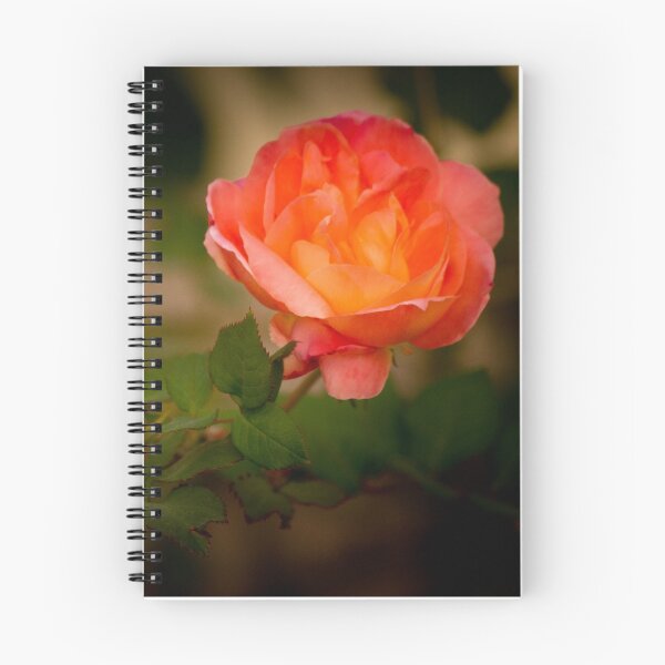 Item preview, Fara's Rose designed and sold by BGSPhoto.