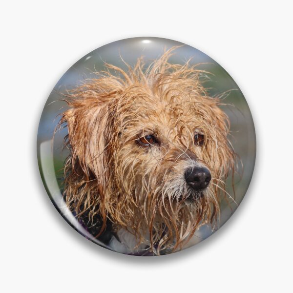 Item preview, Muddy mutt designed and sold by GreyFeatherPhot.