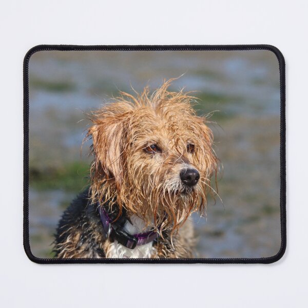Item preview, Muddy mutt designed and sold by GreyFeatherPhot.