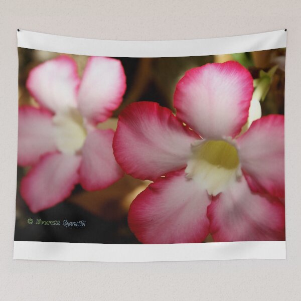 Item preview, Desert Rose #1 designed and sold by Everett  Spruill.